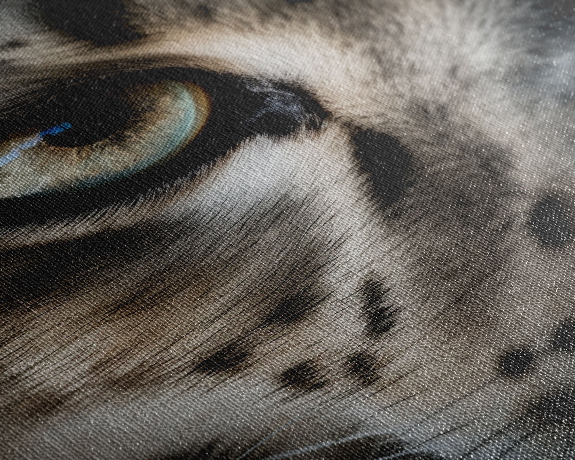 Snow Leopard Photography Art, Framed Canvas Print, Predator Art, Big Cat Art