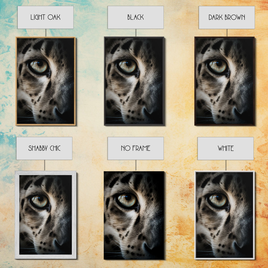 Snow Leopard Photography Art, Framed Canvas Print, Predator Art, Big Cat Art
