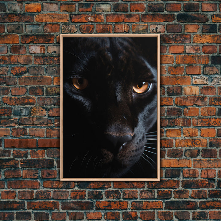 Portrait Of A Predator, Black Cat, Black Panther Photography, Framed Canvas Print, Wood Frame Wall Art