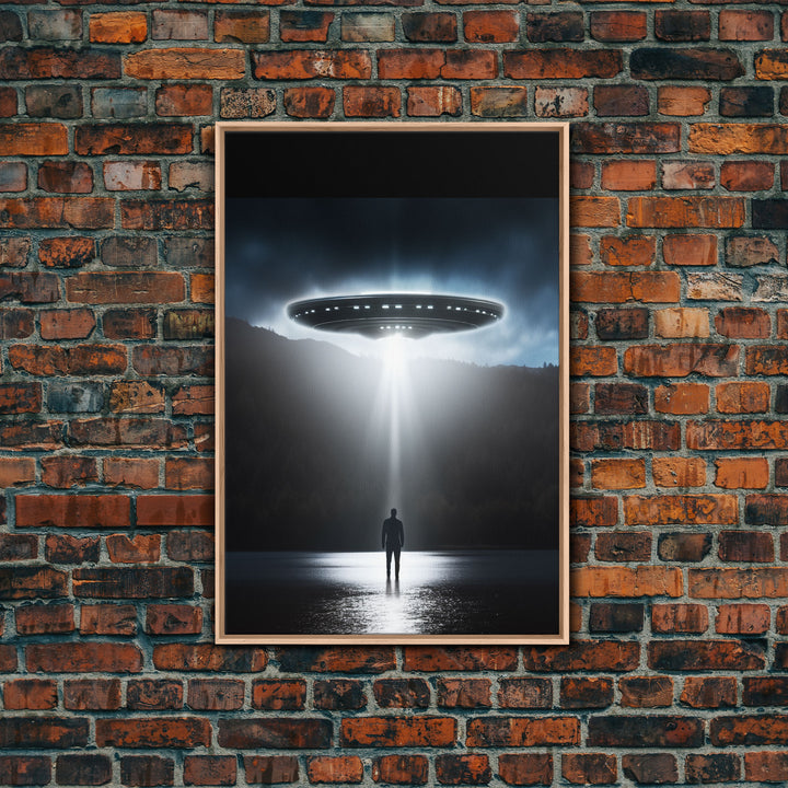 The Encounter, Framed Canvas Print, Scifi Canvas Art, UFO Photography