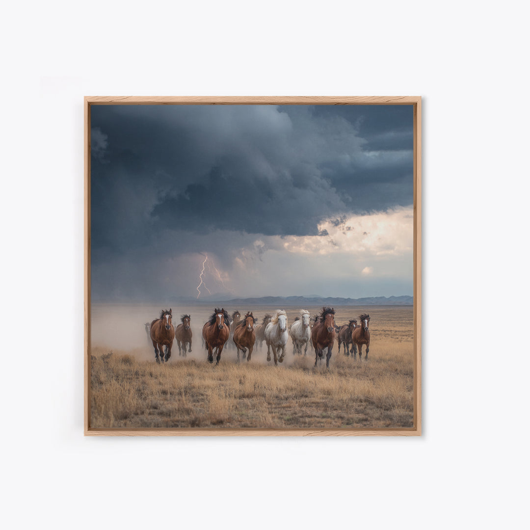 Galloping Horses In Desert Storm Wall Art, Western Photography Print, Rustic Ranch Decor, Dramatic Modern Canvas Print