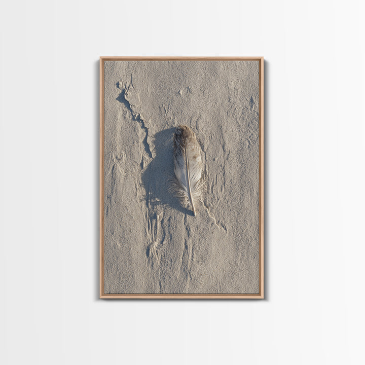 Beach Sand With Single Feather Close Up Minimalist Nature Photography Wall Art Print For Coastal Home Decor Framed Canvas Print