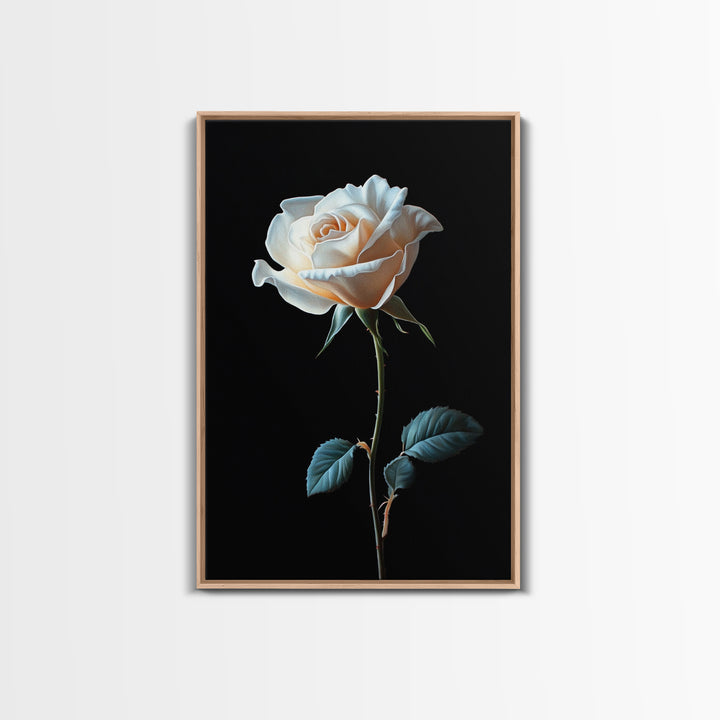 Still Life Photograph of a White Rose, Framed Canvas Print, Rose Painting, Rose Decor, Rose Wall Art, Mother's Day Gift Idea, Flower Wall Art