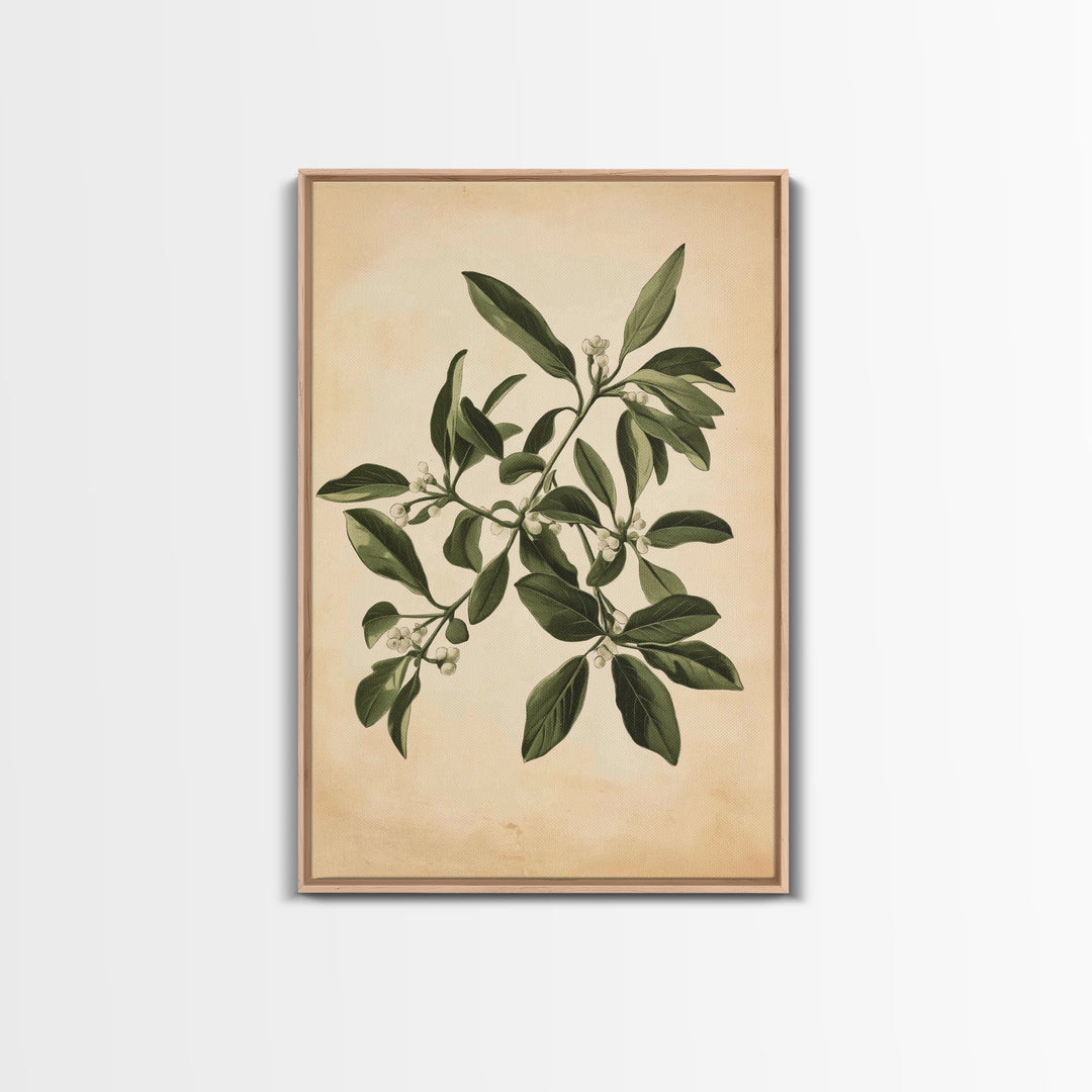 Mistletoe Canvas Print - Framed Canvas - Minimalist Christmas Art - Boho Christmas Art - Rustic Christmas Art