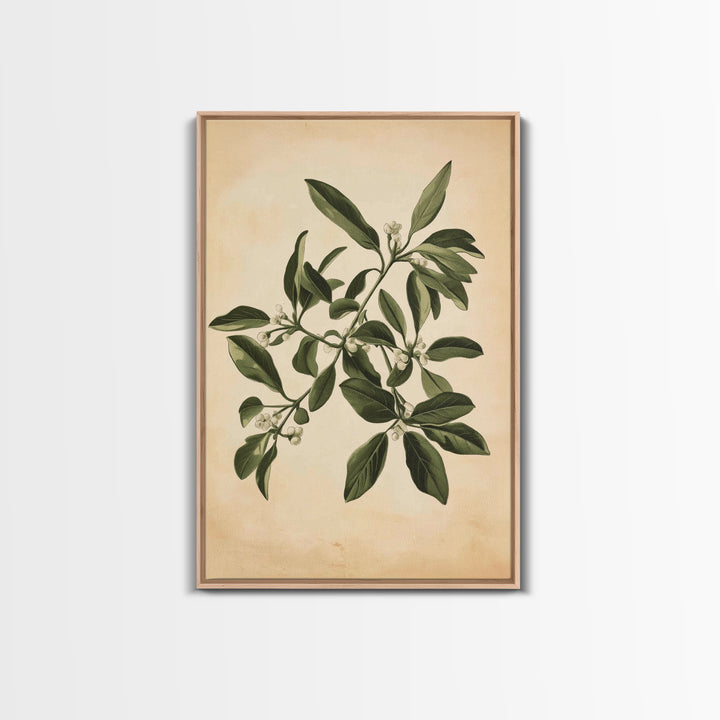 Mistletoe Canvas Print - Framed Canvas - Minimalist Christmas Art - Boho Christmas Art - Rustic Christmas Art