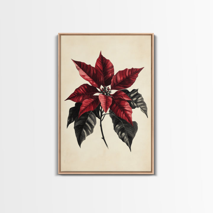 Christmas Poinsetta Canvas Print - Framed Canvas - Minimalist Christmas Art - Boho Christmas Art - Rustic Christmas Art