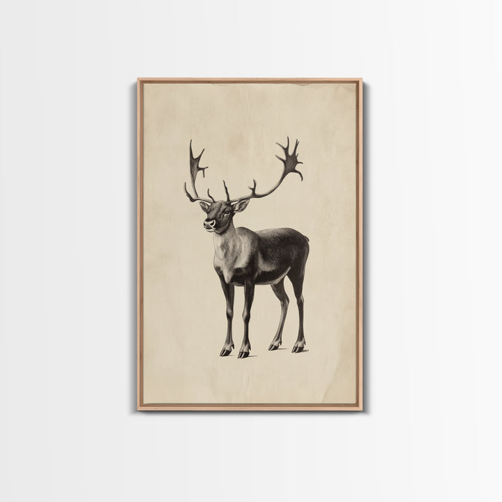 Reindeer Canvas Print - Framed Canvas - Minimalist Christmas Art - Boho Christmas Art - Rustic Christmas Art
