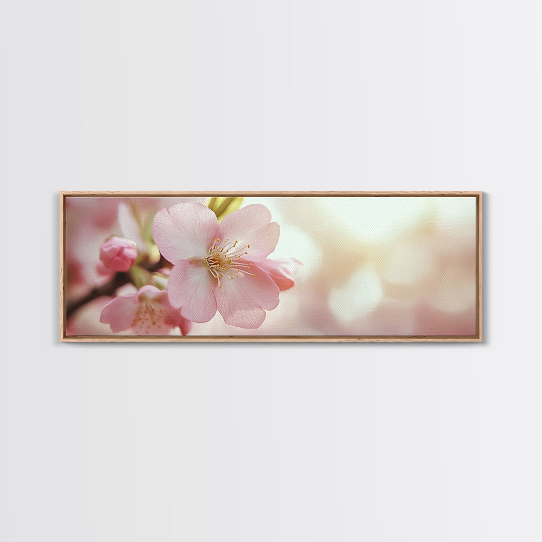 Closeup of a Cherry Blossom, Framed Canvas Print, Cherry Blossom Wall Art, Soothing Wall Art, Meditation Room Decor, Minimalist Art