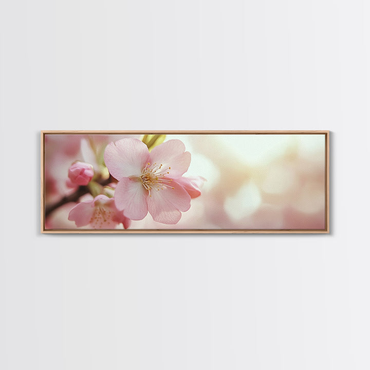 Closeup of a Cherry Blossom, Framed Canvas Print, Cherry Blossom Wall Art, Soothing Wall Art, Meditation Room Decor, Minimalist Art
