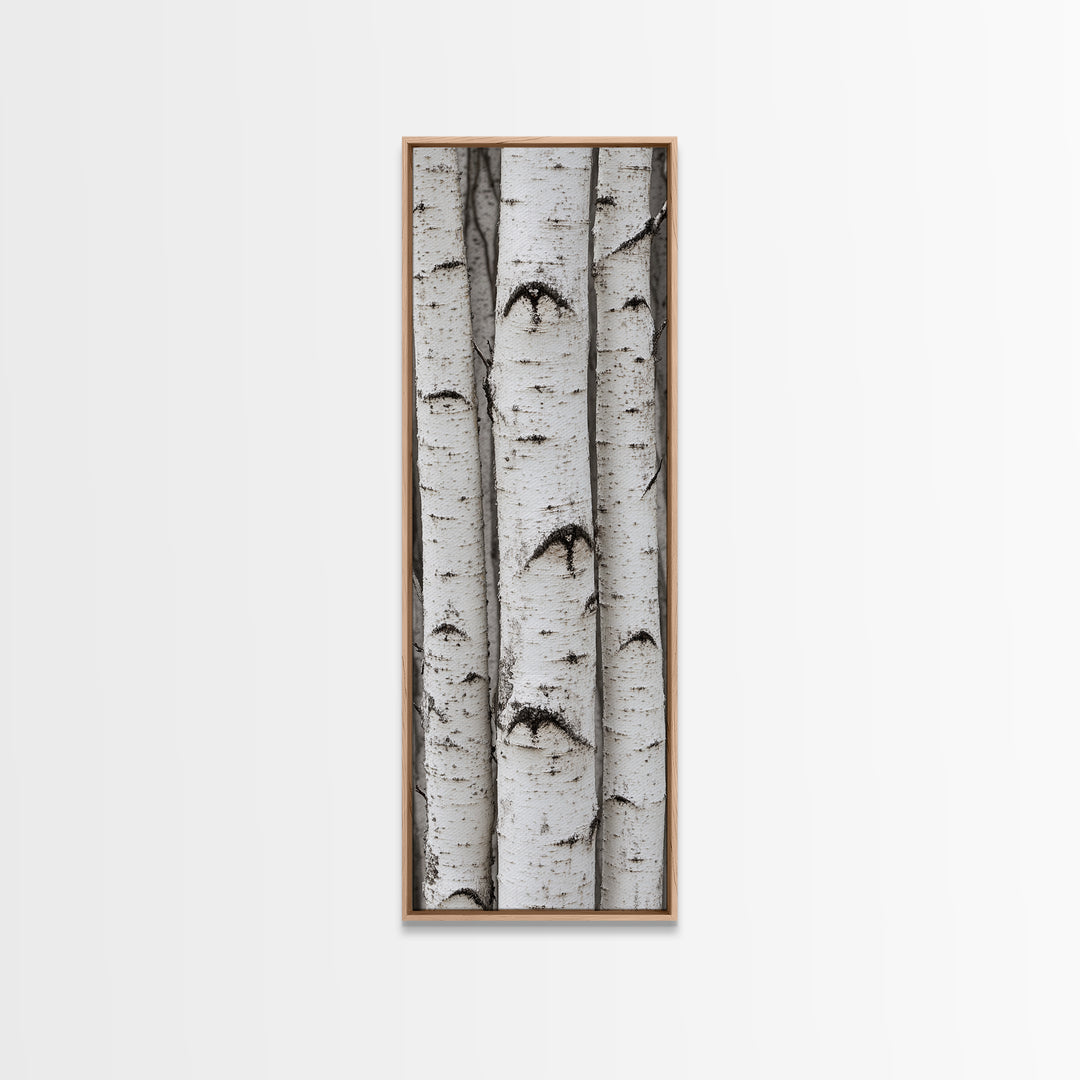Classic Birch Trees Black and White Wall Art Framed Canvas Print Rustic Farmhouse Art Tall Narrow Art Guest Room Decor