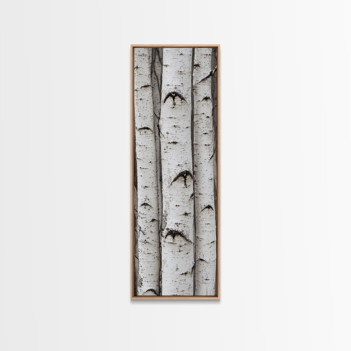 Classic Birch Trees Black and White Wall Art Framed Canvas Print Rustic Farmhouse Art Tall Narrow Art Guest Room Decor