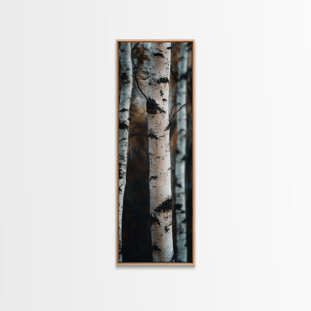 Birch Tree Forest Framed Canvas Print Rustic Wabi Sabi Woodland Art Minimalist Bedroom or Living Room Fall Wall Art Decor