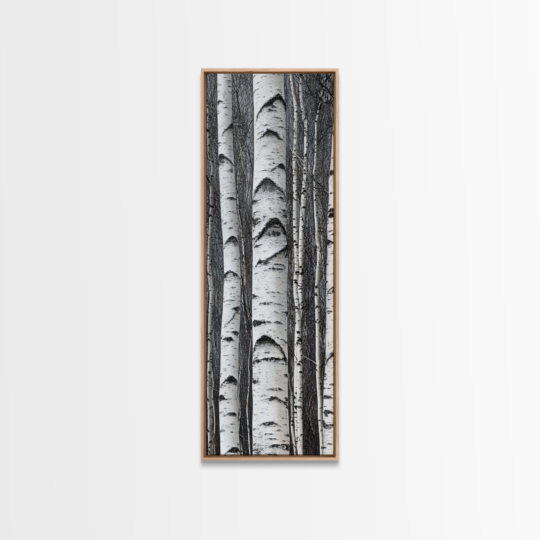 Birch Tree Forest Framed Canvas Print Rustic Nature Wall Art Farmhouse Rustic Bedroom or Living Room Decor