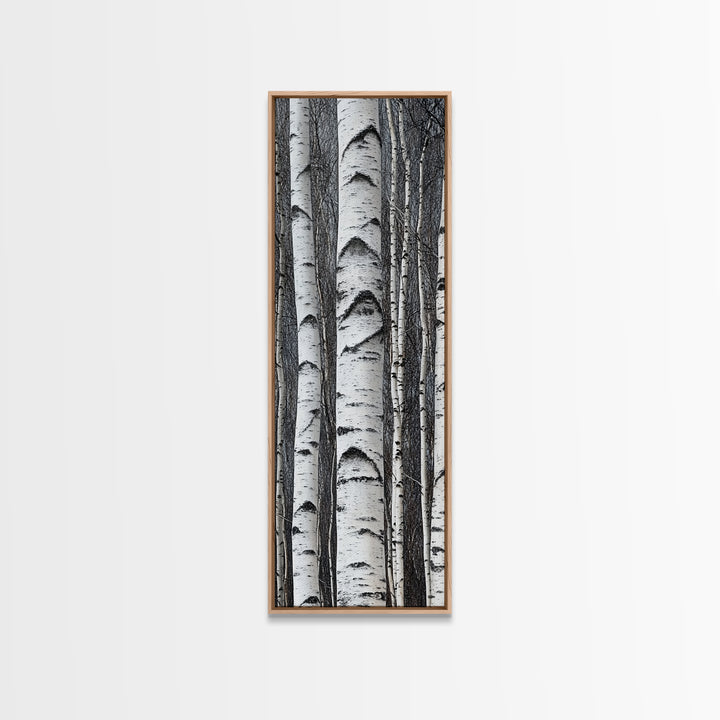 Birch Tree Forest Framed Canvas Print Rustic Nature Wall Art Farmhouse Rustic Bedroom or Living Room Decor