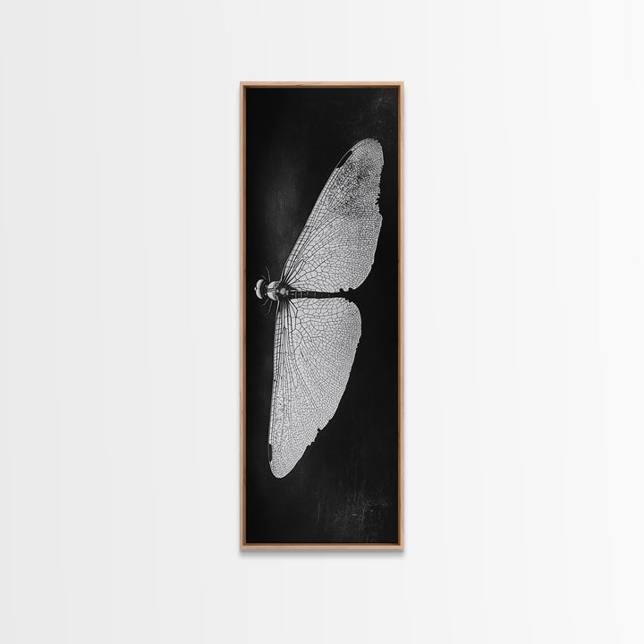 Dragonfly Wings Macro, Nature Insect Print, Detailed Bug Art, Minimalist Scientific Wall Decor, Framed Canvas Print, Study Room Art