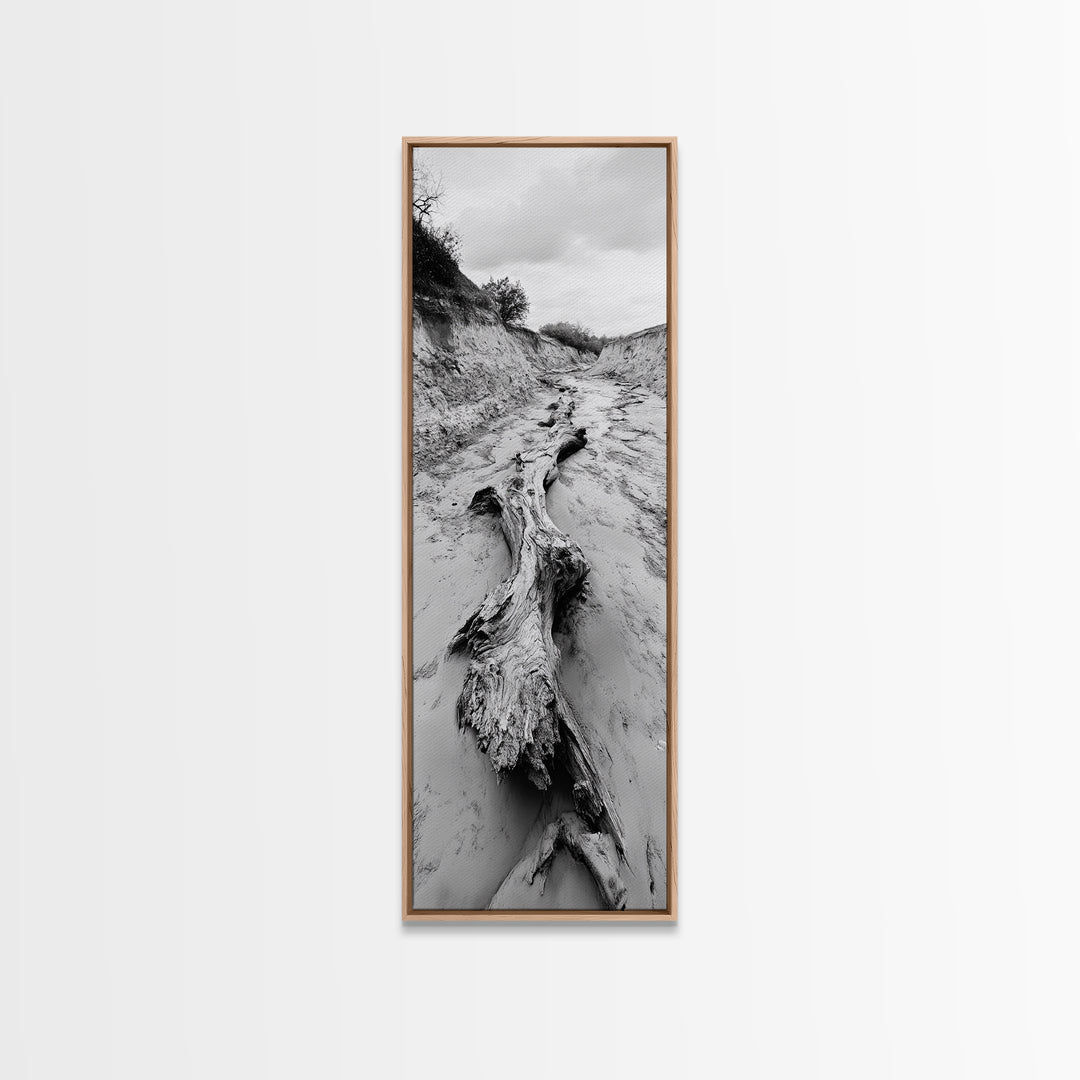 Driftwood, Nature Path, Earthy Decor, Rustic Home Style, Framed Canvas Print, Living Room Wall Art, Natural Landscape Photography