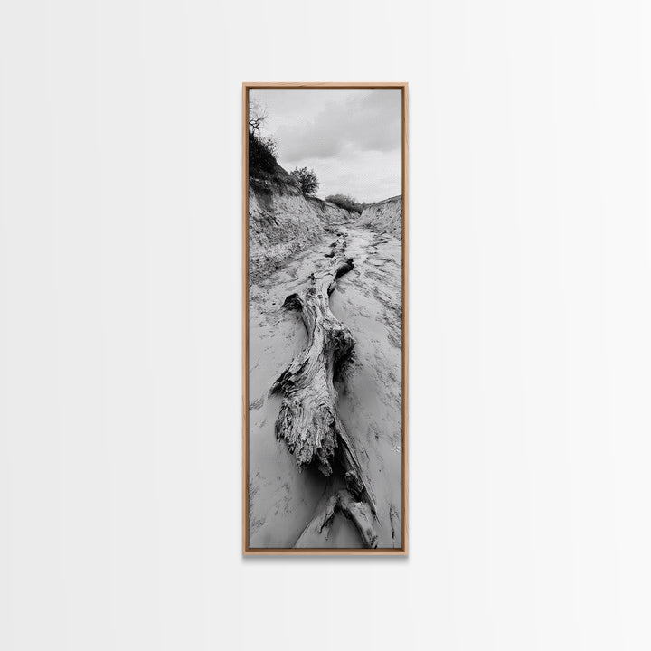 Driftwood, Nature Path, Earthy Decor, Rustic Home Style, Framed Canvas Print, Living Room Wall Art, Natural Landscape Photography