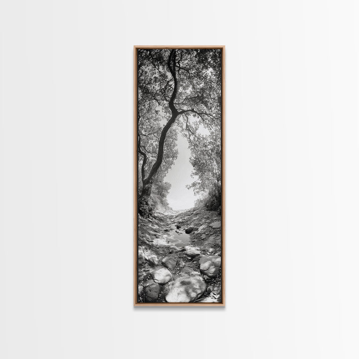 Forest Path, Rock Creek, Canopy Light, Calm Nature Scene, Canvas Print, Entryway Wall Art, Tranquil Minimalist Landscape Print