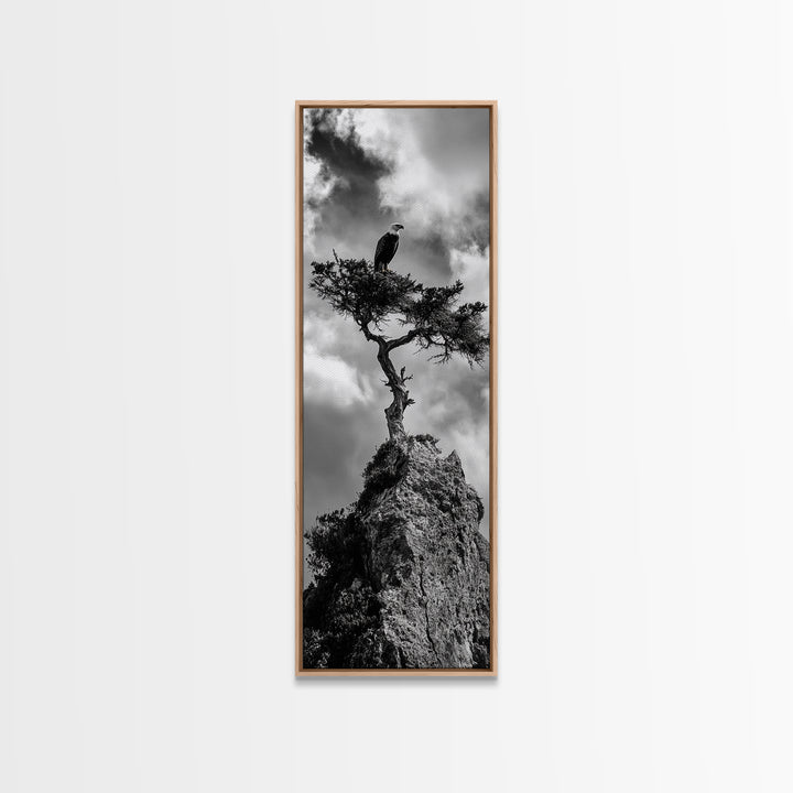Eagle Tree, Cliff Perch, Bold Wildlife, Adventure Decor, Framed Canvas Print, Rustic Cabin Wall Art, American Symbolic Art