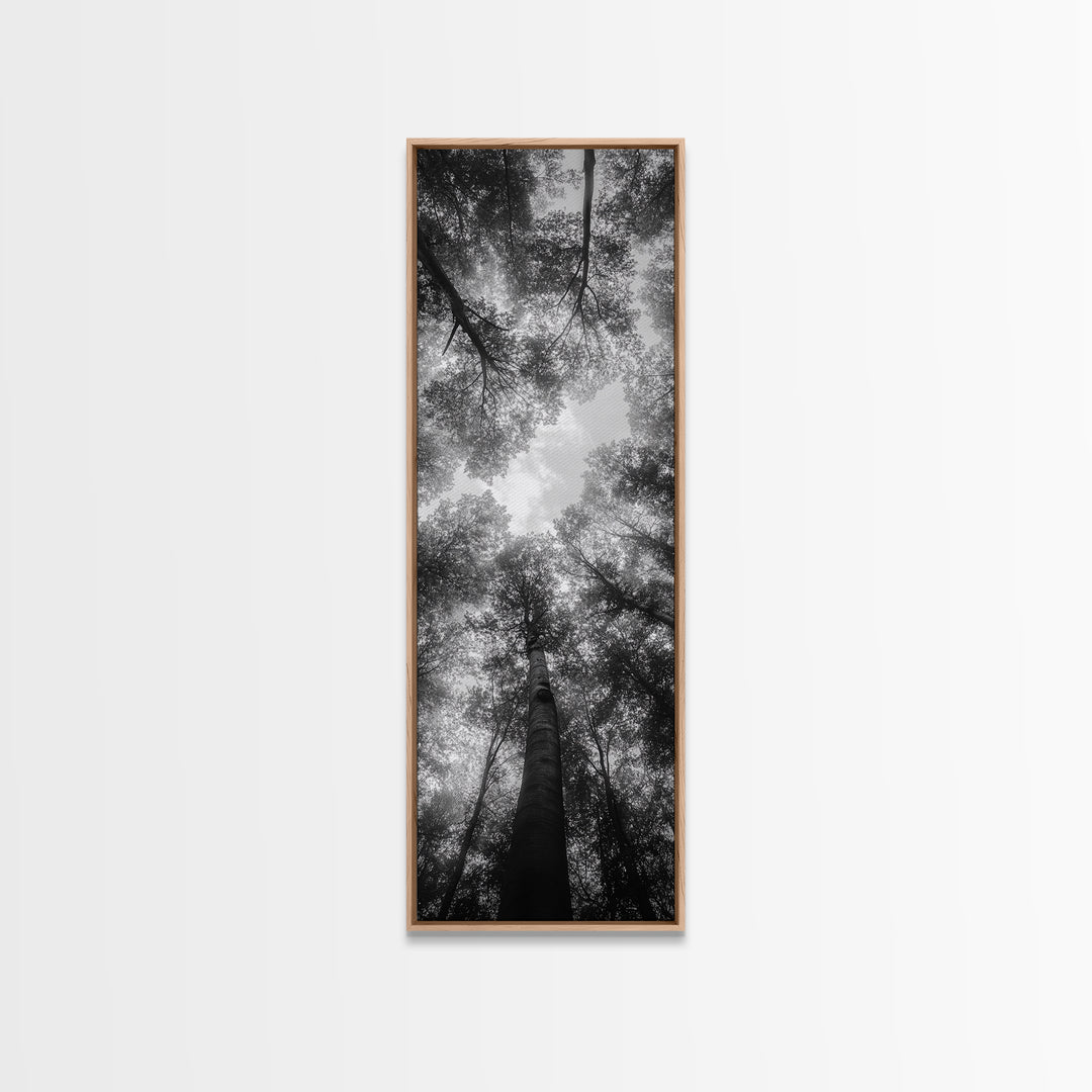 Forest Canopy, Nature Perspective, Tranquil Trees, Black and White, Framed Canvas Print, Cabin Wall Art, Scandinavian Decor, Minimalist Style