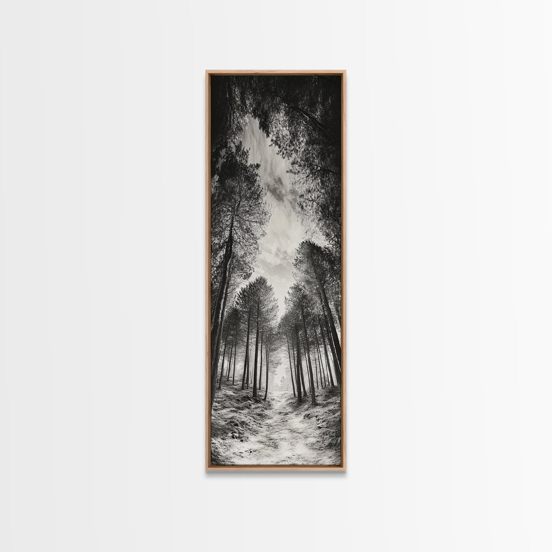 Pine Forest, Nature Path, Tree Canopy, Tranquil Woods, Canvas Print, Forest Wall Art, Minimalist Nature Decor, Meditation Room Artwork