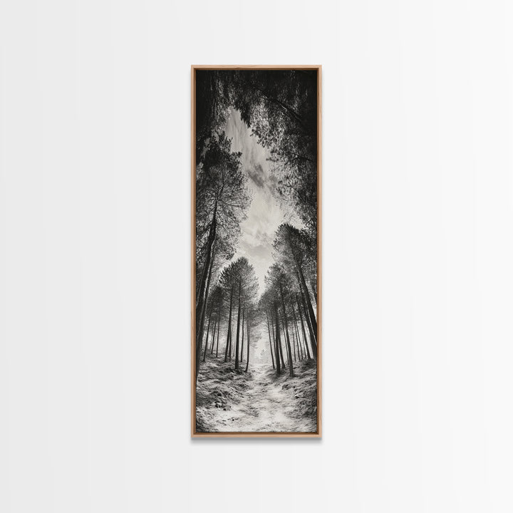 Pine Forest, Nature Path, Tree Canopy, Tranquil Woods, Canvas Print, Forest Wall Art, Minimalist Nature Decor, Meditation Room Artwork
