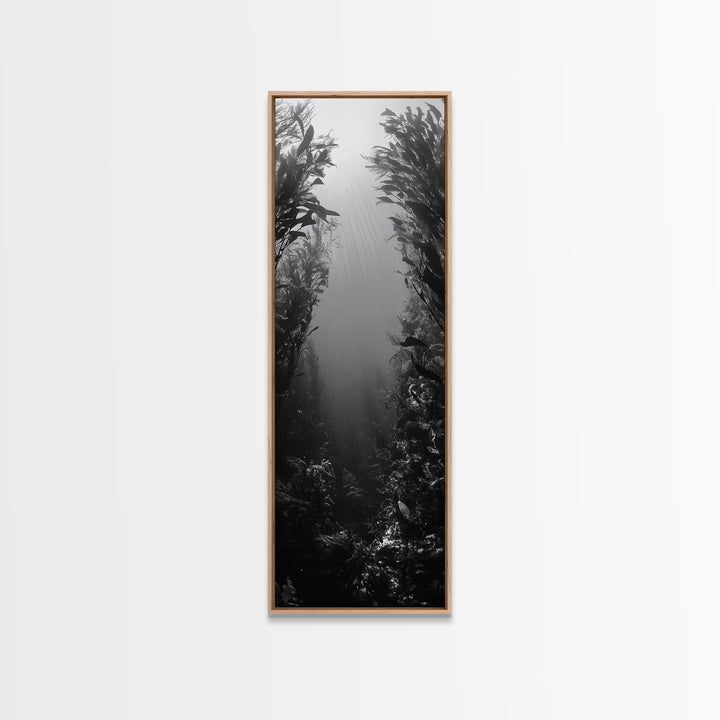 Kelp Forest, Underwater Light, Ocean Depths, Canvas Print, Bathroom Wall Art, Marine Inspired Decor, Nature Photography, Minimalist Style