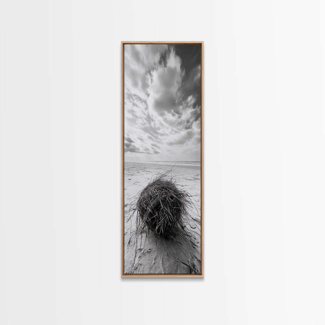 Beach Tumbleweed, Windy Dune, Coastal Drift, Seaside Simplicity, Monochrome Shoreline Framed Canvas Print, Bathroom Beach Wall Decor