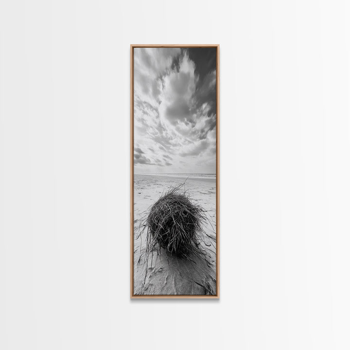 Beach Tumbleweed, Windy Dune, Coastal Drift, Seaside Simplicity, Monochrome Shoreline Framed Canvas Print, Bathroom Beach Wall Decor