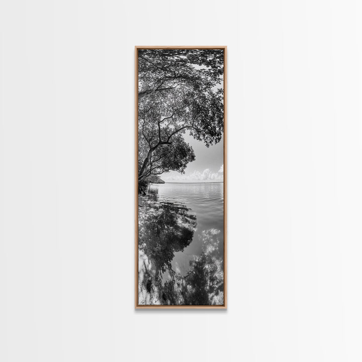 Mangrove Shoreline, Tree Reflections, Still Waters, Tranquil Escape, Black White Nature Framed Canvas Print, Zen Wall Art Entryway Decor