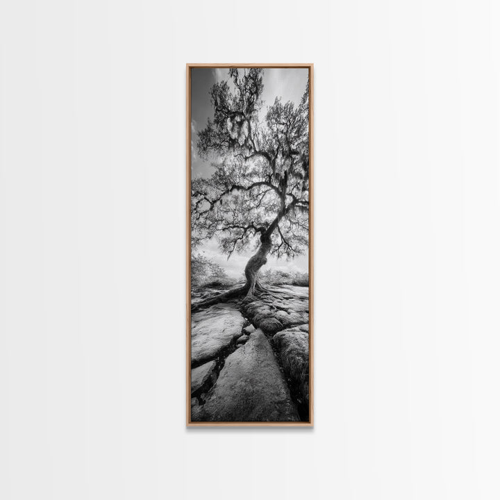 Wisdom Oak Tree, Forest Roots, Ancient Energy, Framed Canvas Print, Rustic Living Room Wall Art, Nature Inspired, Boho Woodland Art