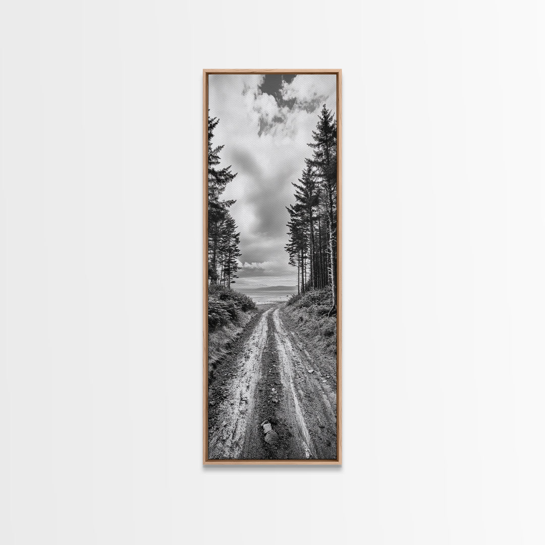 Coastal Forest Path, Nature Trail, Ocean View, Black and White, Framed Canvas Print, Entryway Wall Art, Rustic Decor, Landscape Photography