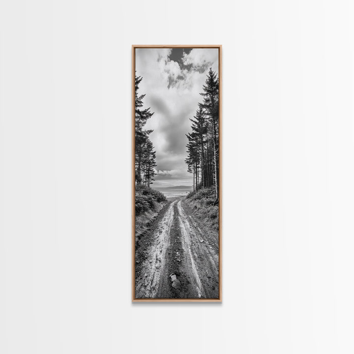 Coastal Forest Path, Nature Trail, Ocean View, Black and White, Framed Canvas Print, Entryway Wall Art, Rustic Decor, Landscape Photography