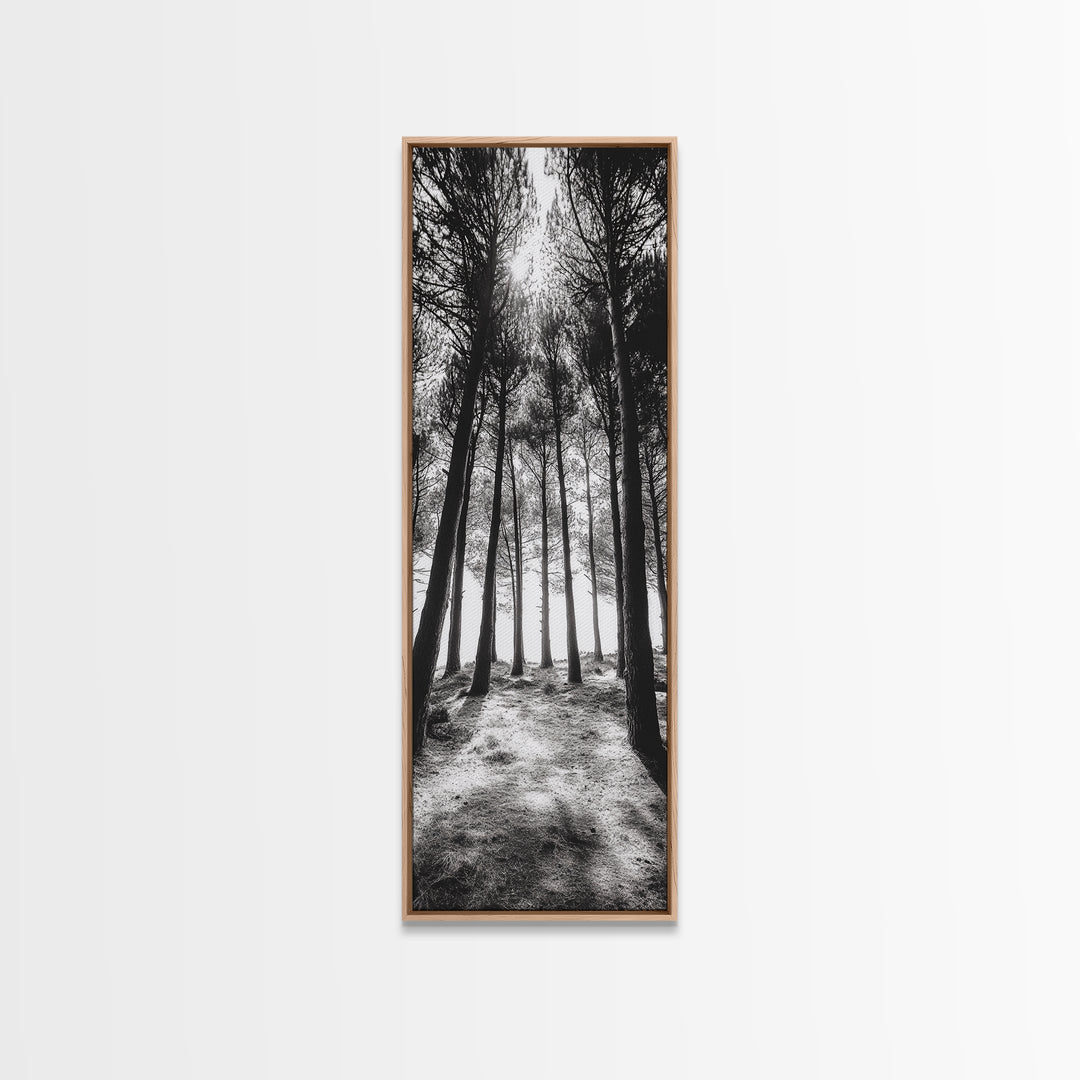 Pine Forest Glow, Woodland Landscape, Monochrome Nature, Boho Style, Framed Canvas Print, Entryway Print, Living Room Wall Art, Game Room Art