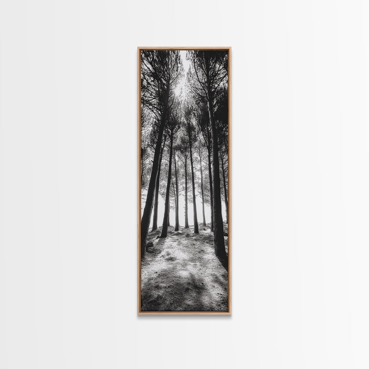 Pine Forest Glow, Woodland Landscape, Monochrome Nature, Boho Style, Framed Canvas Print, Entryway Print, Living Room Wall Art, Game Room Art