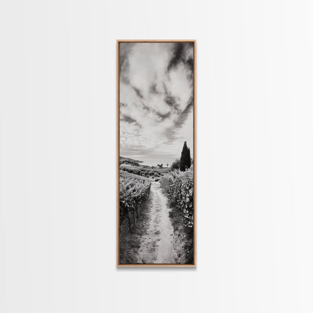 Vineyard Pathway, Scenic Hills, Countryside View, Rustic Charm, Framed Canvas Print, Farmhouse Kitchen Wall Art, Autumn Decor