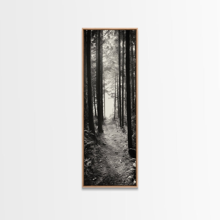 Forest Trail, Woodland Path, Light Through Trees, Nature Escape, Canvas Print, Cabin Wall Art, Cozy Autumn Home Decor, Bedroom Artwork