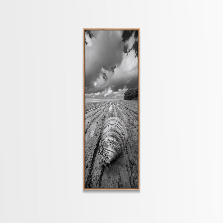 Ocean Clam, Moody Beach, Tidal Lines, Coastal Detail, Canvas Print, Nautical Bathroom Wall Art, Black and White Ocean Decor,  Den Wall Piece
