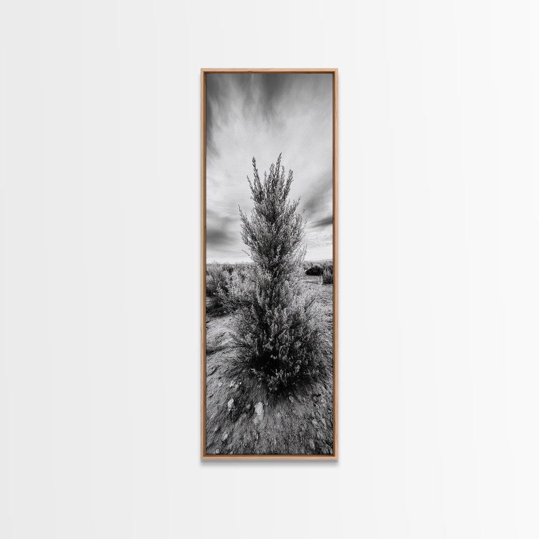 Desert Tree, Nature Minimalism, Solitary Landscape, Framed Canvas Print, Living Room Wall Art, Earth Tone Art, Tranquil Modern Decor