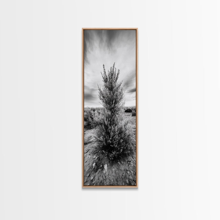 Desert Tree, Nature Minimalism, Solitary Landscape, Framed Canvas Print, Living Room Wall Art, Earth Tone Art, Tranquil Modern Decor