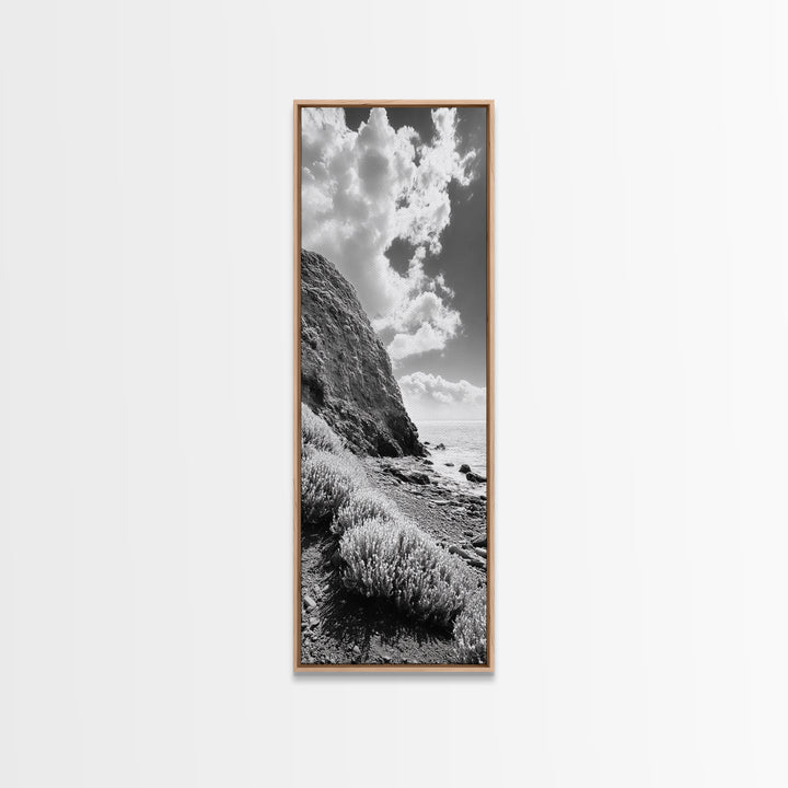 Coastal Shrubs, Rocky Beach, Sunlit Cliffside, Framed Canvas Print, Kitchen Wall Art, Black and White Nature, Scandinavian Home Style