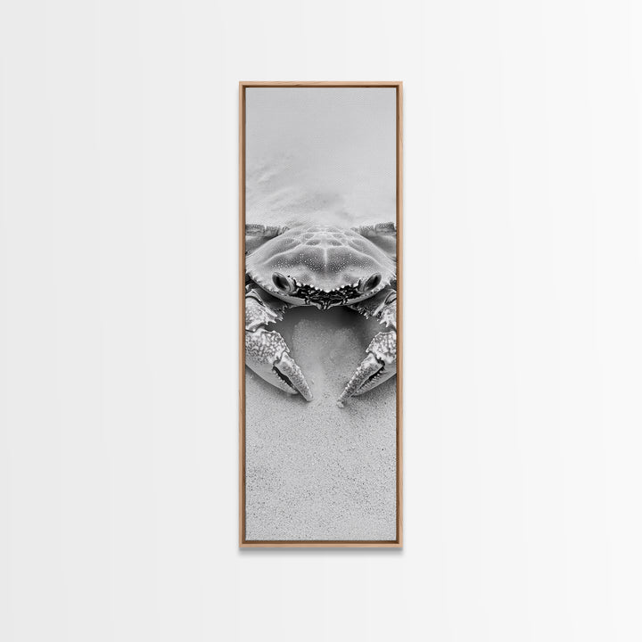 Crab Beach Art, Coastal Animal Print, Ocean Life Wall Decor, Bathroom or Kitchen Style, Framed Canvas Print, Black White Sea Creature