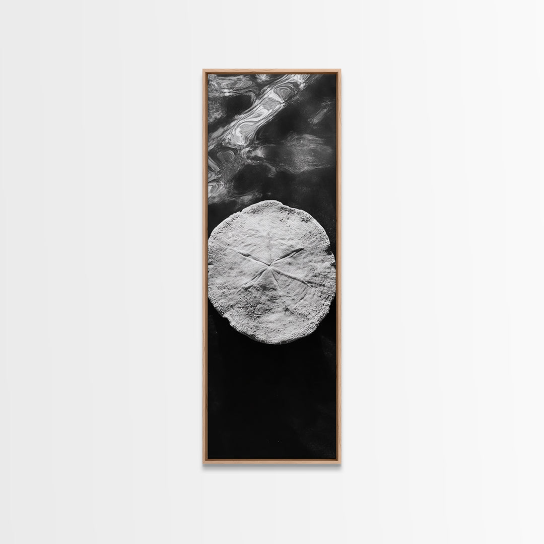 Sand Dollar Print, Minimalist Beach Decor, Sea Shell Wall Art, Coastal Bathroom or Nursery Style, Framed Canvas Print, Ocean Texture