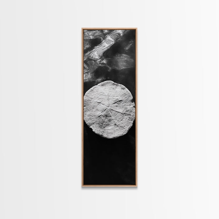 Sand Dollar Print, Minimalist Beach Decor, Sea Shell Wall Art, Coastal Bathroom or Nursery Style, Framed Canvas Print, Ocean Texture