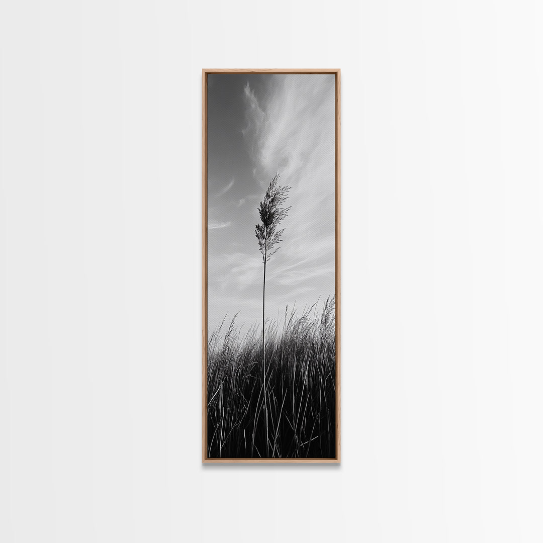 Solitary Grass Print, Minimalist Field Art, Tall Grass Photography, Rustic Bedroom Wall Decor, Framed Canvas Print, Fall Nature Vibe