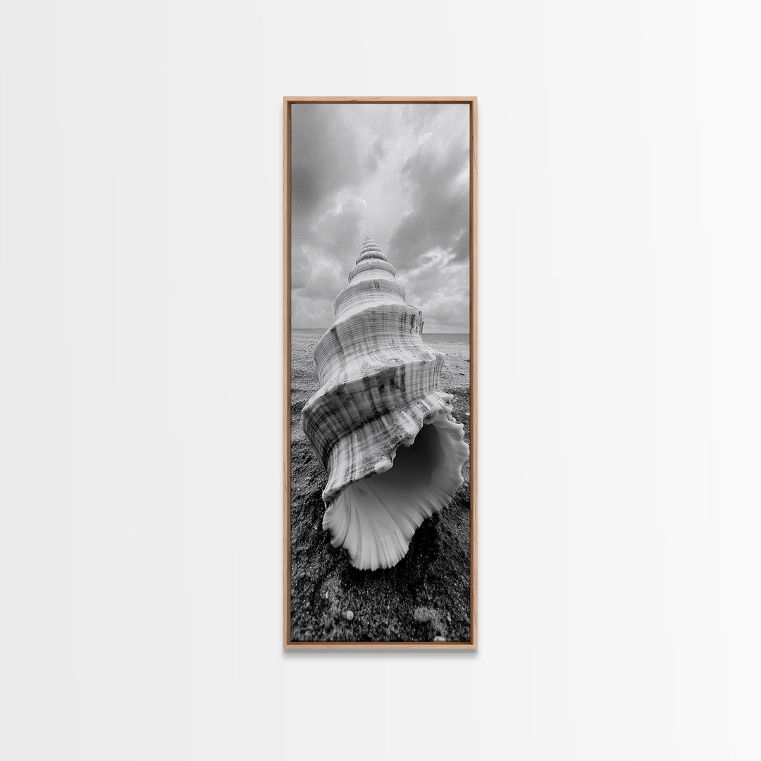 Shell Closeup, Ocean Texture, Natural Spiral, Minimalist Shell, Seashell Photography Framed Canvas Print, Coastal Kitchen Wall Art