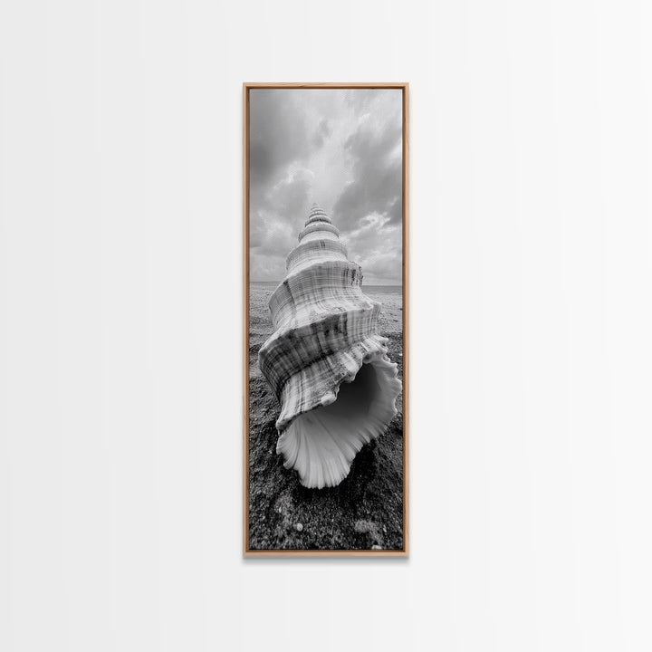 Shell Closeup, Ocean Texture, Natural Spiral, Minimalist Shell, Seashell Photography Framed Canvas Print, Coastal Kitchen Wall Art