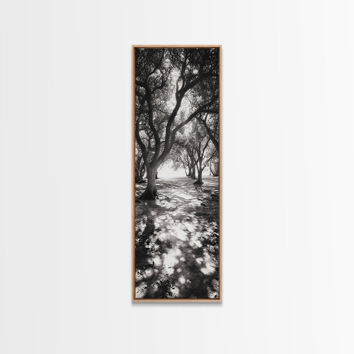 Tree Shadows, Woodland Light, Forest Stroll, Peaceful Canopy, Dappled Light Canvas Print, Cozy Living Room Wall Art, Autumn Decor