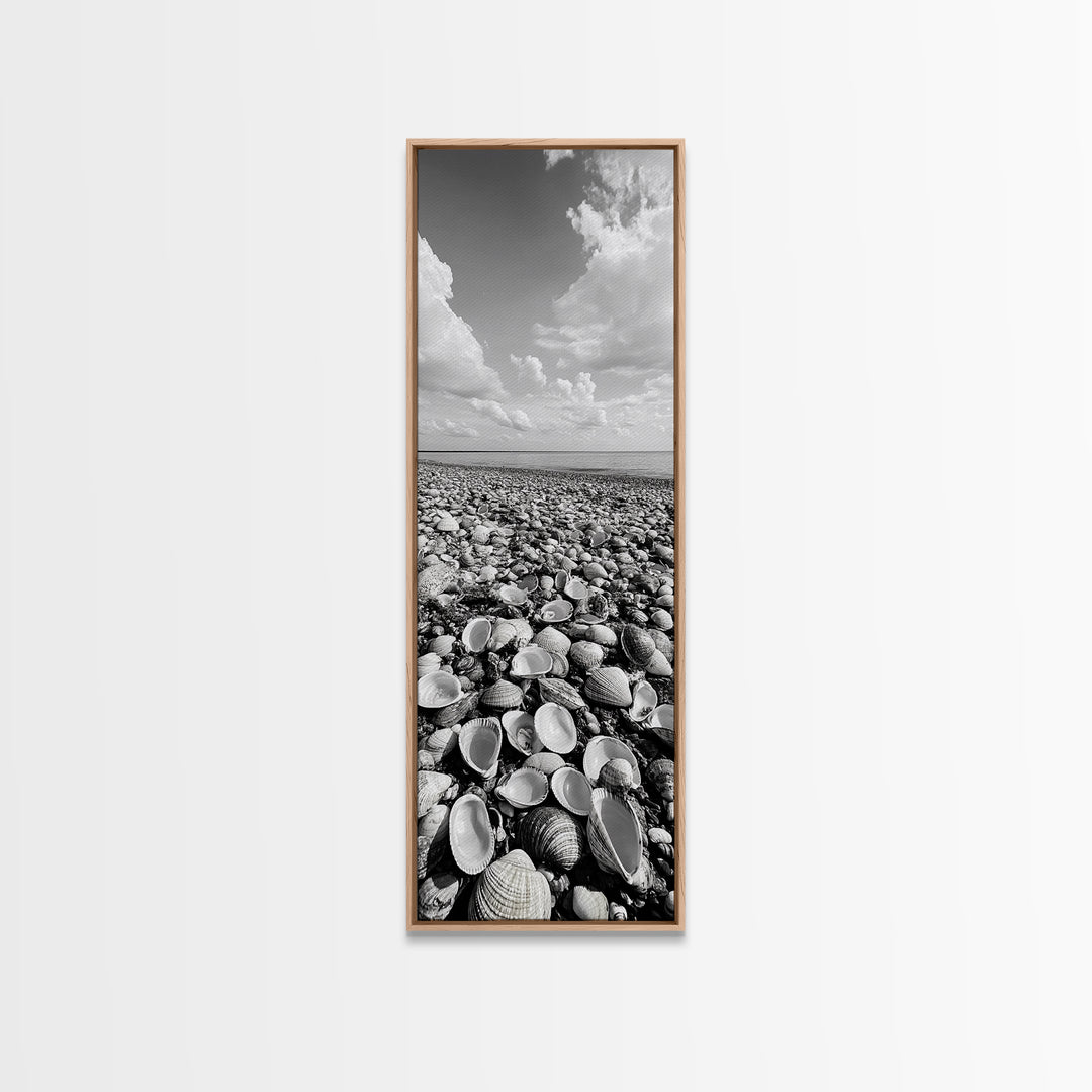 Shell Beach, Coastal Texture, Seashell Ground, Nature’s Bounty, Rustic Ocean Canvas Print, Neutral Kitchen Wall Art, Boho Coastal Style