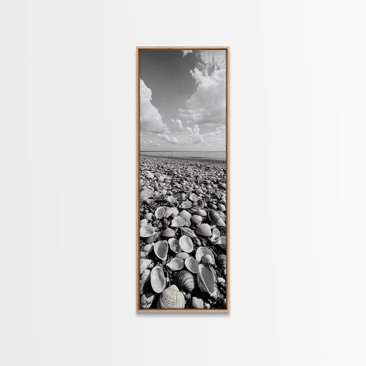 Shell Beach, Coastal Texture, Seashell Ground, Nature’s Bounty, Rustic Ocean Canvas Print, Neutral Kitchen Wall Art, Boho Coastal Style